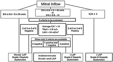 new guidelines for diastolic dysfunction.